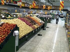 mercado 24