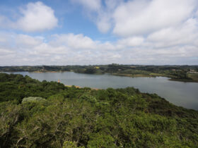 barragens alta25