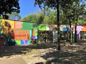 bosque guarani 420