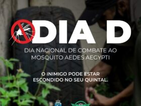 dia d
