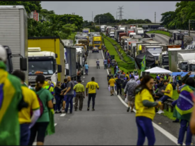imagem 2022 11 06 111631566
