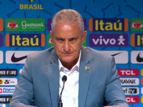 imagem 2022 11 07 141452371