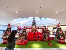 natal 2 409