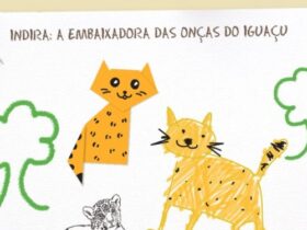 oncas 424