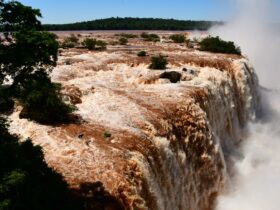 parque nacional 903