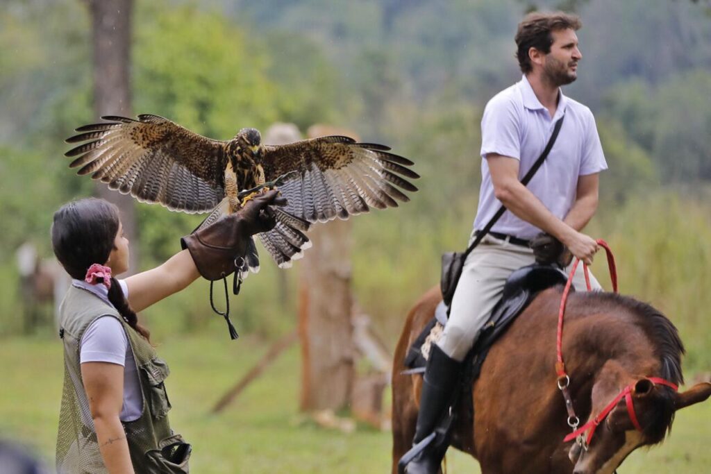 Cupom exclusivo: 10% de desconto no Dreams Park Show em Foz do Iguaçu 6 falcoaria