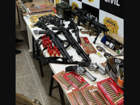 Polícia apreendeu arsenal com armas e munições com o suspeito de deixar um artefato explosivo perto do aeroporto de Brasília — Foto: Divulgação/Polícia Civil