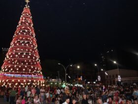 natal4255