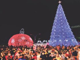 natal429
