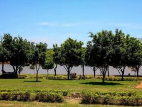 tres lagoas 42 e1670860660965