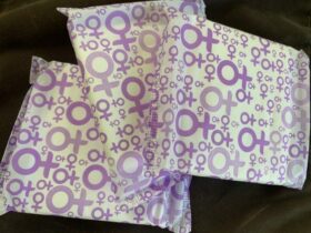 absorvente02