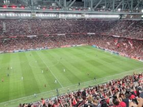 arena da baixa