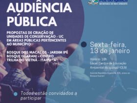 audiencia 2