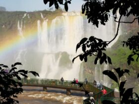 cataratas 421