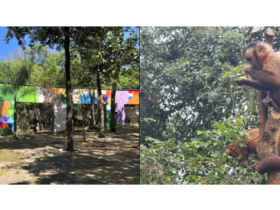 imagem 2023 01 16 103248642