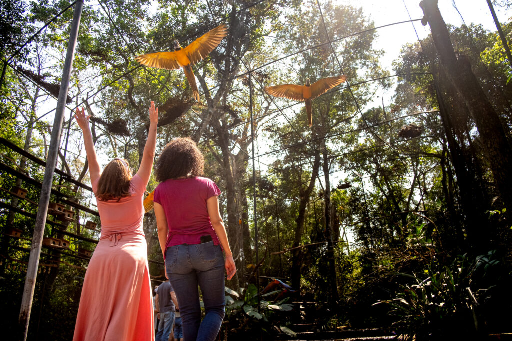 Parque das Aves aparece em 6° na lista do que fazer no Brasil, do TripAdvisor 2 Experiencia no Viveiro das Araras e magica