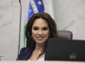 deputada pp