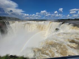garganta2 2