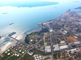 paranagua aerea