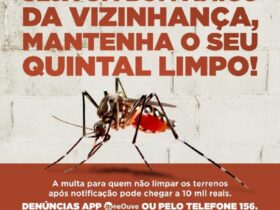dengue foz 1