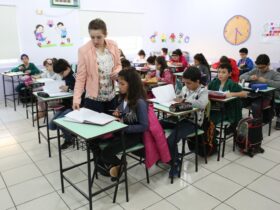educacao 02