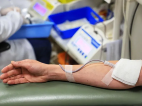 imagem 2023 03 31 115214476