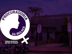 procuradoria da mulher