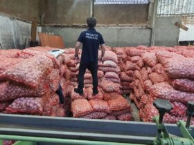 alhos e doce de leite