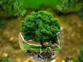 imagem 2023 04 15 190743492