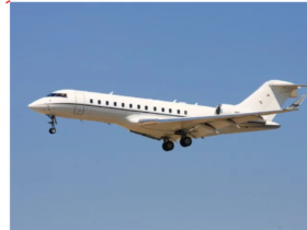 imagem 2023 04 24 175256460