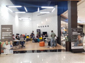 Credito Arquivo Catuai Palladium