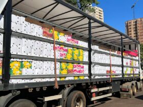 alho apreendido e1683990990718