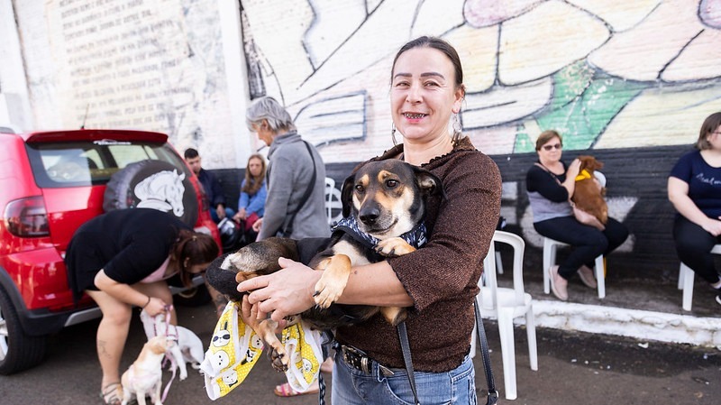 Prefeitura de Foz inicia castração de animais no CTG Charrua 1 castracao23