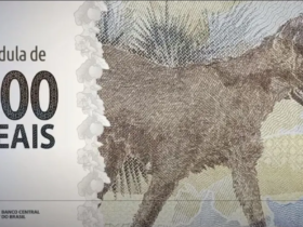 imagem 2023 05 21 111854012