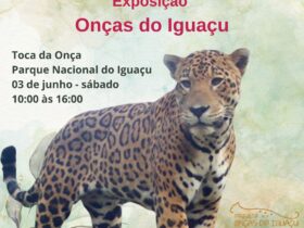 onca 98