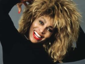 tina turner 1733
