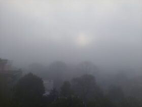 61cfc8f9 668c 4d12 8269 dc4acda732f2