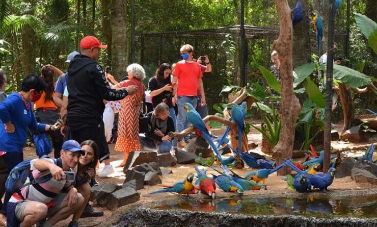 Conheça Foz do Iguaçu, além das Cataratas do Iguaçu