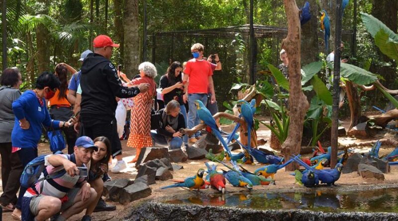 Conheça Foz do Iguaçu, além das Cataratas do Iguaçu