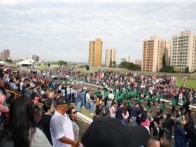 WhatsApp Image 2023 06 10 at 16.50.43