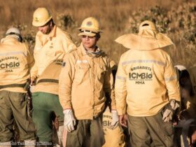 bombeiro ambiental 2233