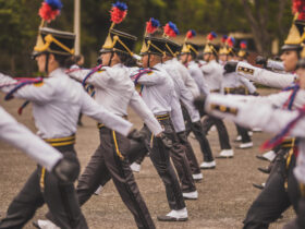 corpo de bombeipros2