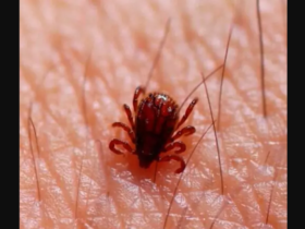 imagem 2023 06 15 162934078