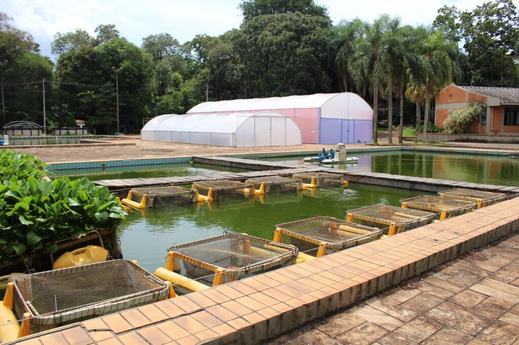 laboratorio24