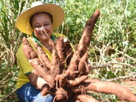 seguranca militar 42