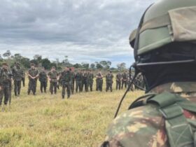 treinamneto 800x445 1