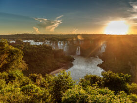 unnamed 2023 06 20T085745.579 1