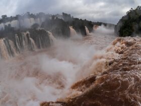 8d9a8377 3fcb 4a68 9051 878fad515380