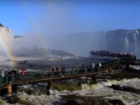 WhatsApp Image 2023 07 01 at 11.11.31