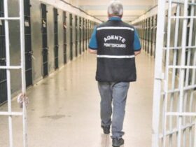 carcerarios 800x445 1